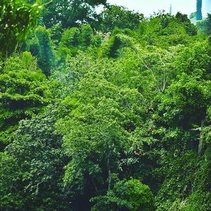 Meet your Posher, Jojo